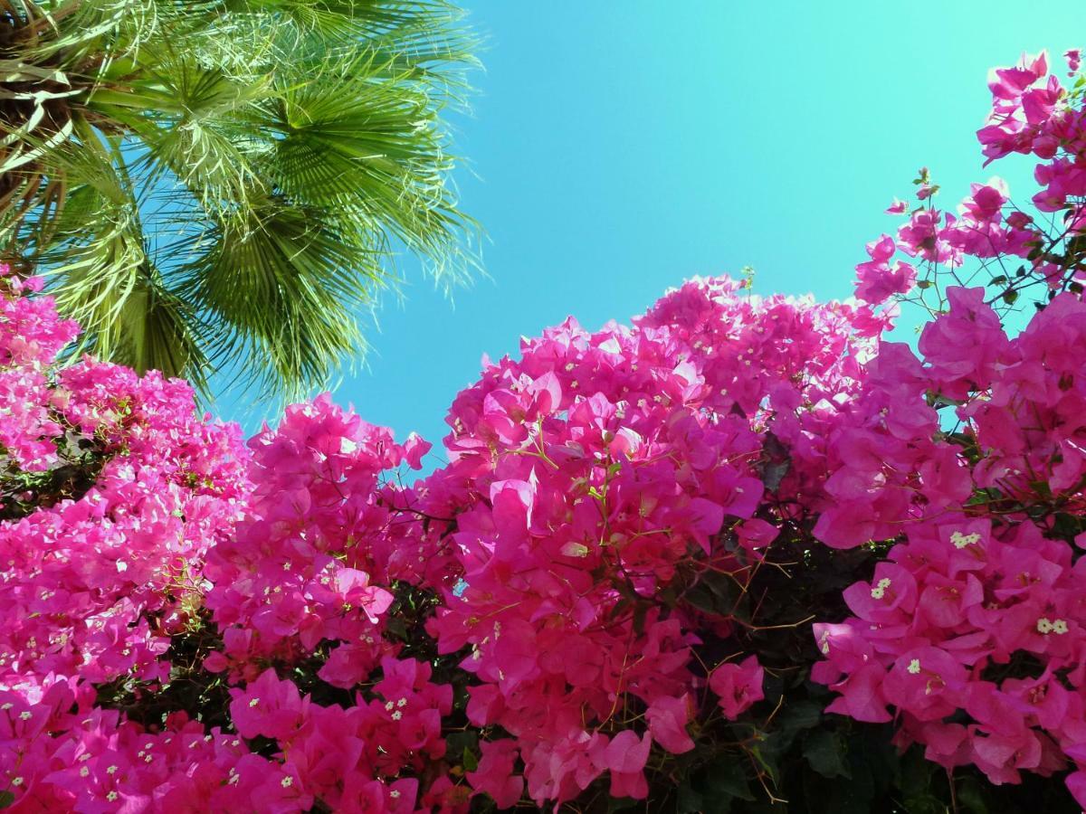 Bougainvillea Suites Камари Экстерьер фото